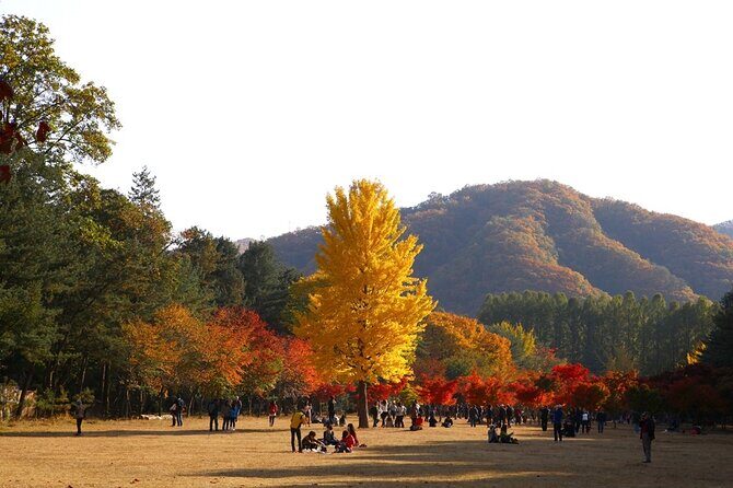 Nami Island & Petite France & Railbike & Morning Calm - Frequently Asked Questions