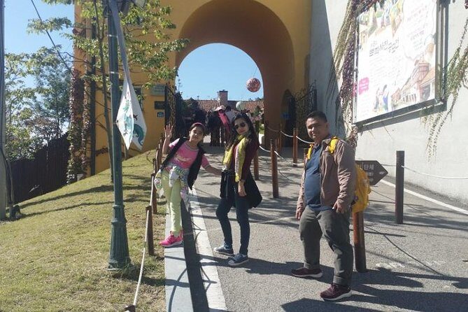 Nami Island Private Tour (6-12 people) - FAQ