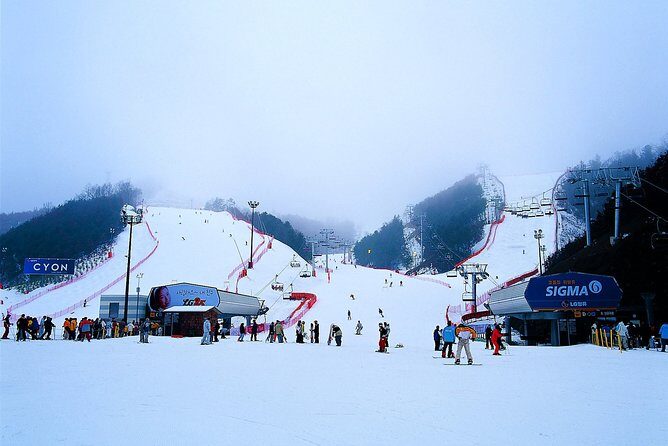 Nami Island + Ski Tour - A Detailed Look at the Tour Experience