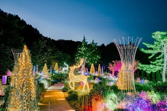 Nami & Petite France & Morning calm & Garden Light Festival - A Day of Scenic Wonders and Cultural Charm in Seoul