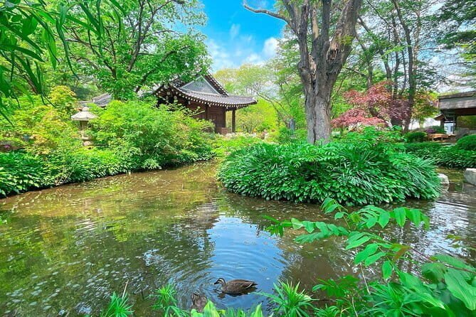 Nami & Petite France & Morning calm & Garden Light Festival - An In-Depth Look at the Tour Experience