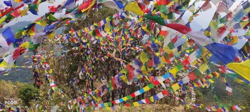 Namo Buddha and Thrangu Tashi Yangtse Monastery Tour - Detailed Review of the Namo Buddha and Thrangu Tashi Yangtse Monastery Tour