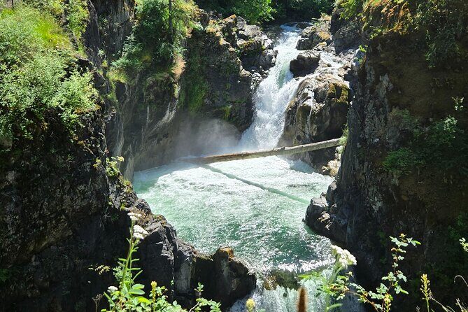 Nanaimo: Cathedral Grove, Waterfalls and Animal Sanctuary - Who Is This Tour For?