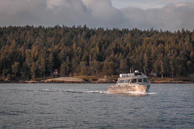 Nanaimo Private Whale Watching - Nanaimo Private Whale Watching: An Intimate Marine Adventure on Vancouver Island