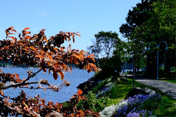 Nanaimo Urban Oasis Trail Walking Tour - Discover Nanaimo with a Mindful Touch: The Urban Oasis Trail Walking Tour