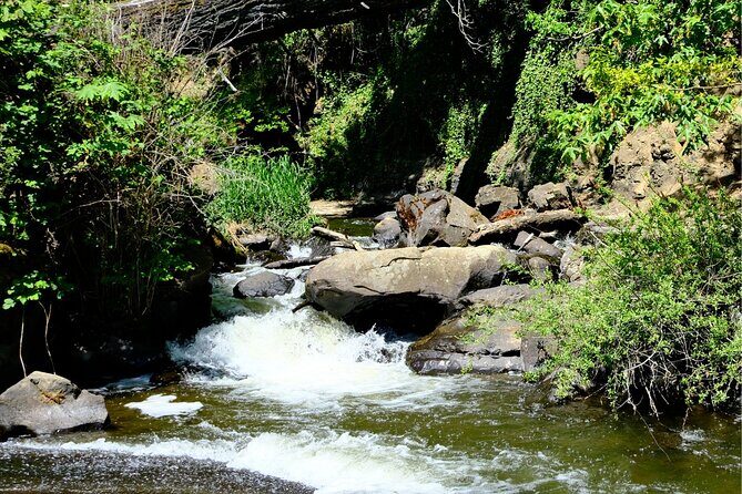 Nanaimo Urban Oasis Trail Walking Tour - FAQ