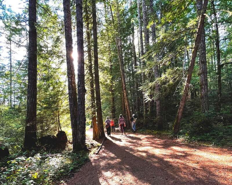 Nanaimo: Vancouver Island Waterfalls, Vistas, Hikes & Caves - An Authentic Vancouver Island Adventure