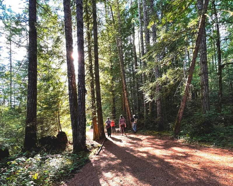 Nanaimo: Vancouver Island Waterfalls, Vistas, Hikes & Caves - Who Will Love This Tour?