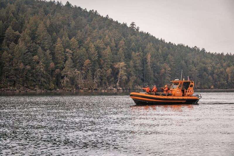 Nanaimo: Whale Watching Open Boat Tour - FAQ
