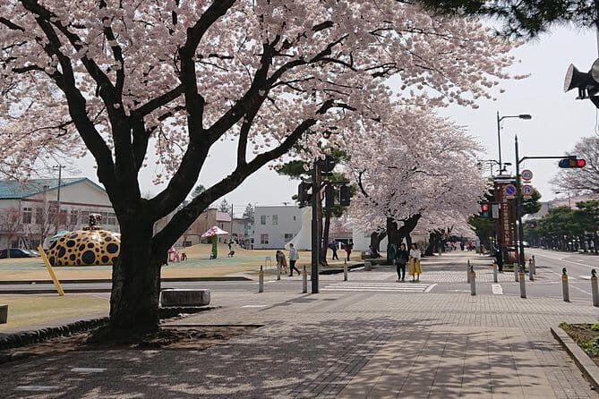 Nanbu Teodori Taught by the World's Top Master - Analyzing the Price and Value