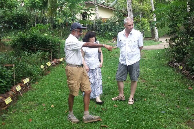 Nandana Tea Walking Tour in Sri Lanka - Transportation, Group Size, and Practicalities