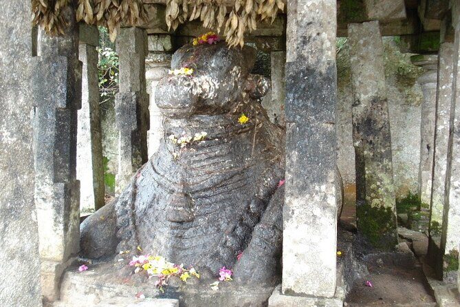 Nandi Hills Day Trip from Bangalore - A Detailed Look at Your Nandi Hills Day Trip