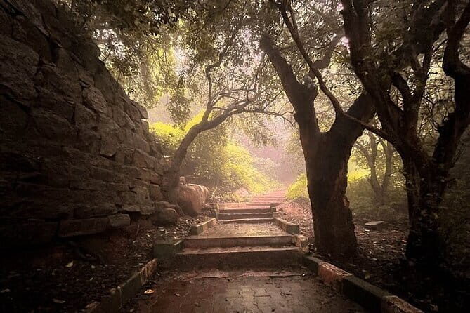 Nandi Trail Tour - Exploring the Nandi Trail Tour: A Practical Guide for Curious Travelers