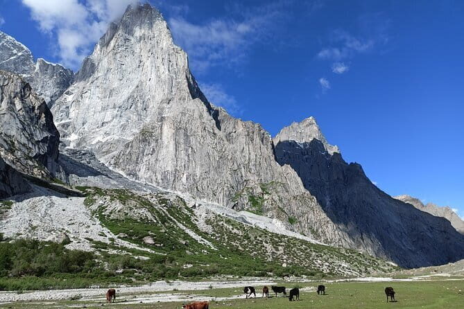 Nangma Valley Trek- The New Trending Place for Adventure lovers - The Full Rundown: What to Expect on the Nangma Valley Trek