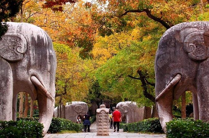 Nanjing Private Flexible Day Tour with Professional Guide and Driver Service - Who Will Enjoy This Tour Most?