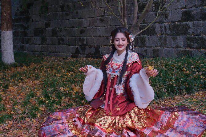 Nanjing Professional and Private English Tour Guide Service - Exploring Nanjing with a Private Guide: A Balanced Look at a Full-Day Cultural Journey