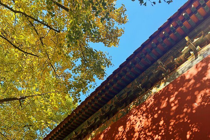 Nanjing Professional and Private English Tour Guide Service - Key Points