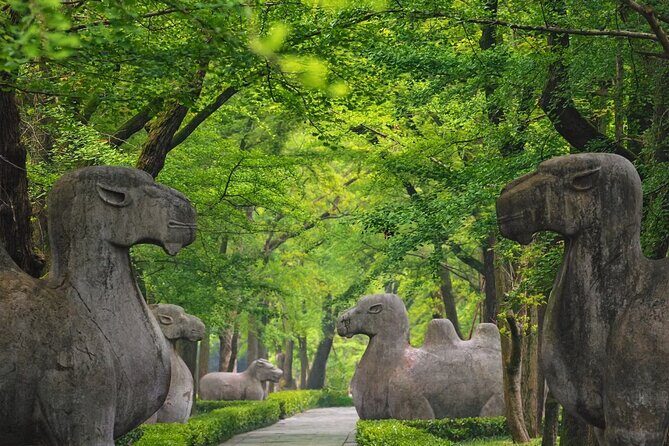 Nanjing Professional and Private English Tour Guide Service - FAQs