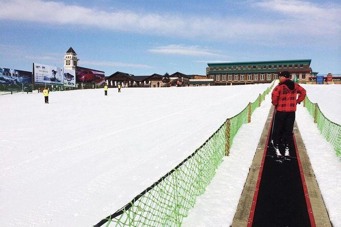 Nanshan Ski Resort Day Trip with Private English Speaking Driver - Who Is This Tour Ideal For?