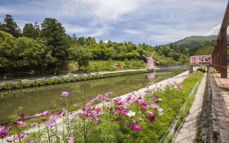 Nantou: Qingjing Farm Green Green Grassland Ticket & Combos - FAQ