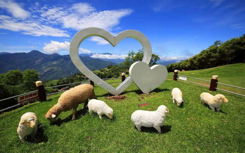 Nantou: Qingjing Small Swiss Garden Ticket & Combos - Final Thoughts: Is It Worth It?