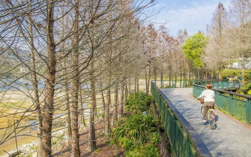 Nantou: Sun Moon Lake Combo - Discovering Sun Moon Lake: A Deep Dive