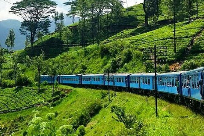 Nanu Oya to Ella train ride on (Train No: 1005 "Podi Menike") - Exploring the Nanu Oya to Ella Train Ride with Podi Menike
