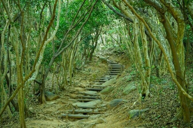 Nanzoin Temple and Itoshima Fukuoka Private Tour - The Value of This Tour
