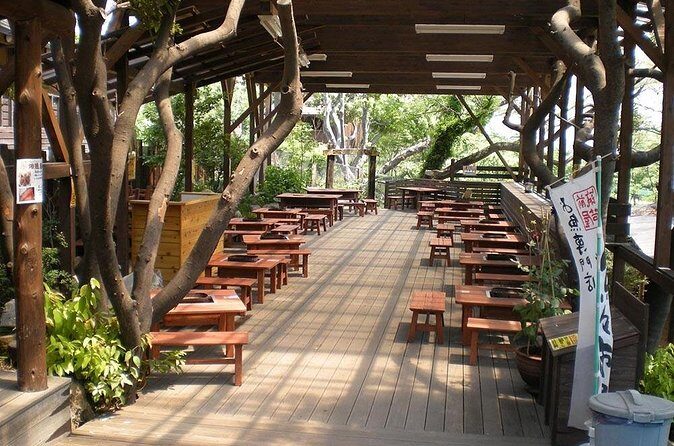 Nanzoin Temple and Itoshima Fukuoka Private Tour - Final thoughts