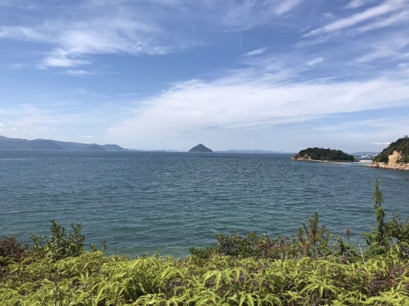 Naoshima Art Island One-Day Private Tour from Uno or Takamatsu - Go’o Shrine and the Art House Project
