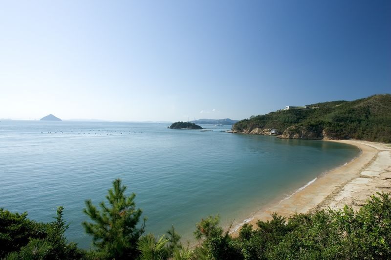 Naoshima Day Tour from Uno or Takamatsu with Cycling or Public Bus - Why Naoshima works well as a day trip