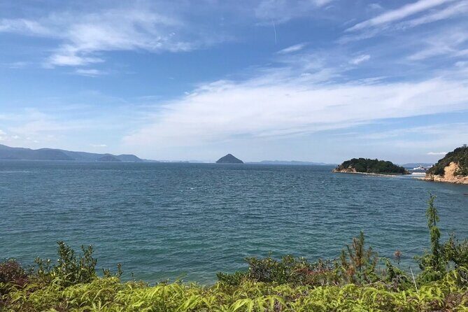 Naoshima Full Day Private Tour from Takamatsu - Key Points