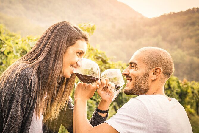 Napa and Sonoma-8-hr Private-Wine Tour from San Francisco XL SUV - The Sum Up