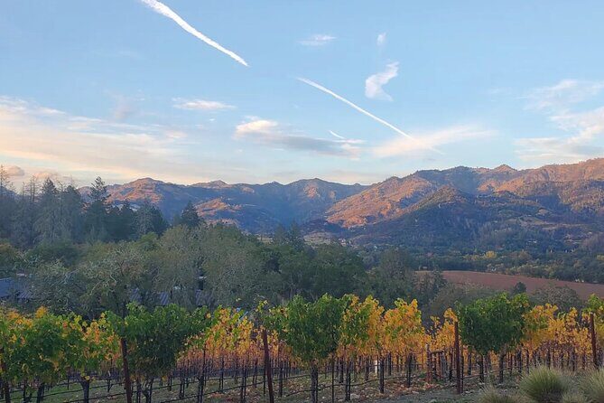 Napa and Sonoma Private Transportation - A detailed look at the Napa and Sonoma Private Transportation experience