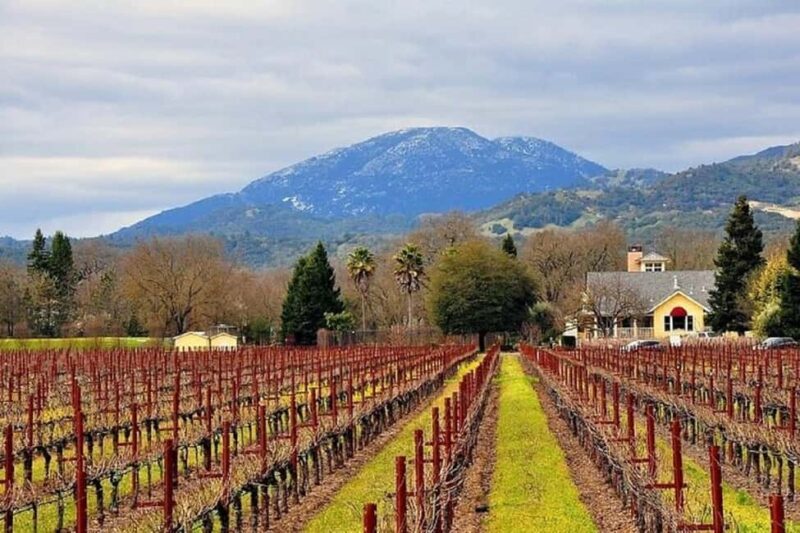 Napa and Sonoma Small Group Wine Tour from San Francisco - Practical Considerations