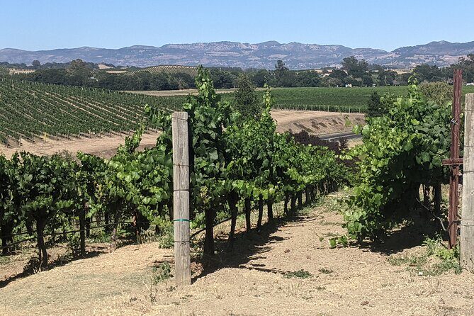 Napa and Sonoma Valley Wine 6 hour Tour from San Francisco - Final Thoughts