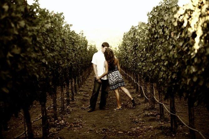 Napa - Sonoma Limo up to 9 passengers - Who Would Love This Tour?