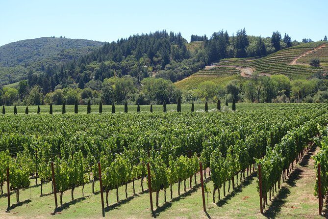 Napa & Sonoma Wine Tour Private Tours 8 to 10 Hours max 14 pax - FAQ