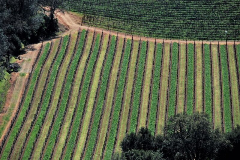 Napa Valley: Airplane Napa Valley Tour - FAQs