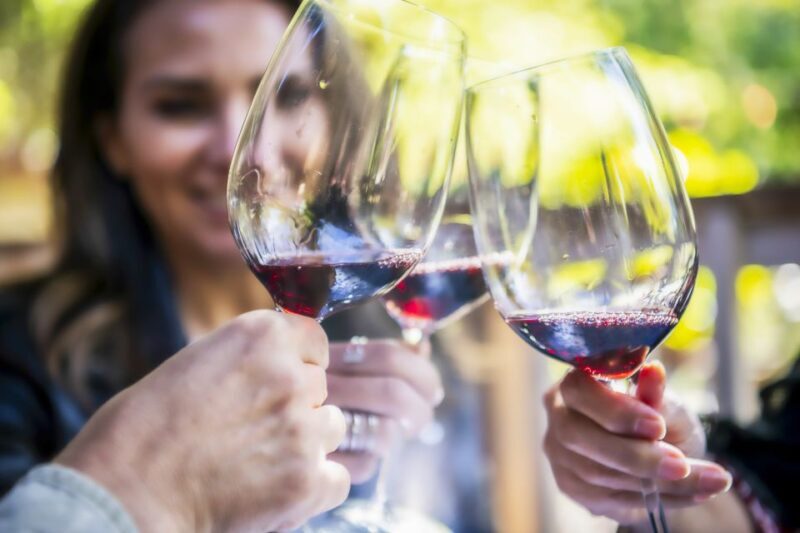 Napa Valley: Guided Wine Tour with Picnic Lunch - The Experience: What You Can Expect from the Tour