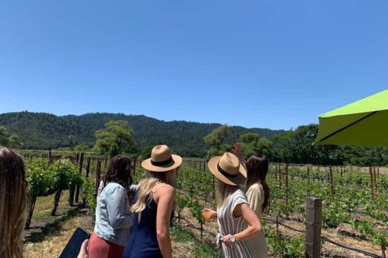 Napa Valley: Private Wine Tour in SUV with up to 6 Guests - Key Points