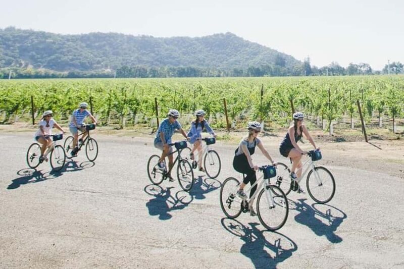 Napa Valley: Scenic E-Bike Tour (No Wineries) - Key Points