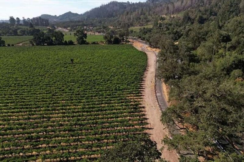 Napa Valley: Scenic E-Bike Tour (No Wineries) - Who Will Enjoy This Tour?