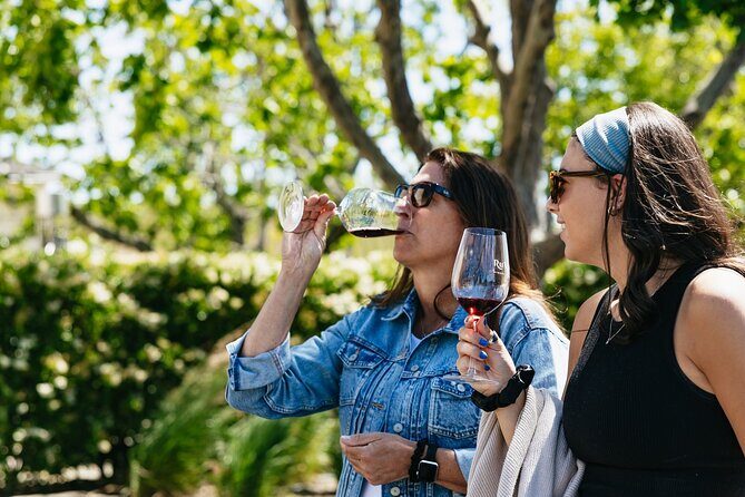Napa Valley Wine and Food Tasting Tour from San Francisco - An In-Depth Look at the Napa Valley Wine and Food Tour