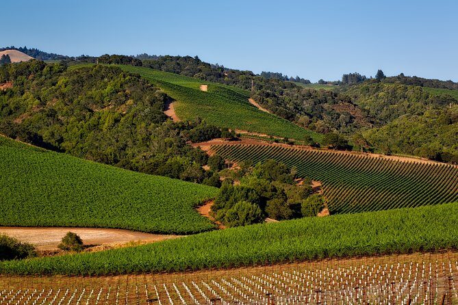 Napa Valley Wine Tasting Tour 6 to 8 Hours max 14 passenger - Key Points