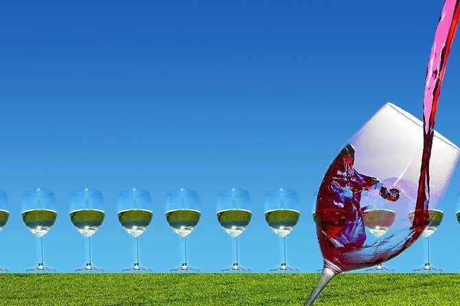 Napa Valley Wine Tasting Tour 6 to 8 Hours max 14 passenger - An In-Depth Look at the Napa Valley Wine Tasting Tour