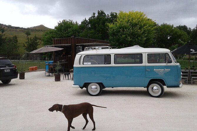 Napier and Hawkes Bay Scenic and Art Deco Tour by VW Kombi - Exploring Napier and Hawkes Bay in Vintage Style