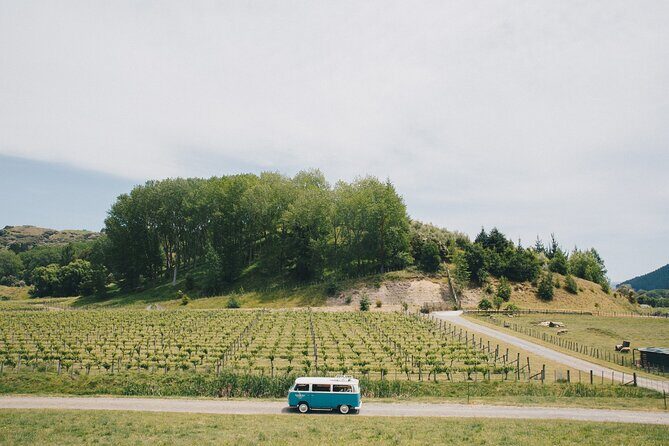 Napier and Hawkes Bay Scenic and Art Deco Tour by VW Kombi - Who Should Consider This Tour?