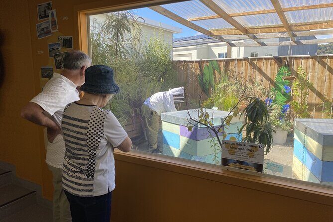 Napier and Hawkes Bay Scenic and Art Deco Tour by VW Kombi - FAQ