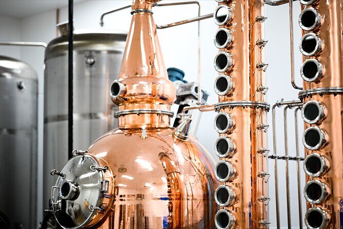 Napier Art Deco & Distillery Tour with Tastings - Who Will Love This Tour?